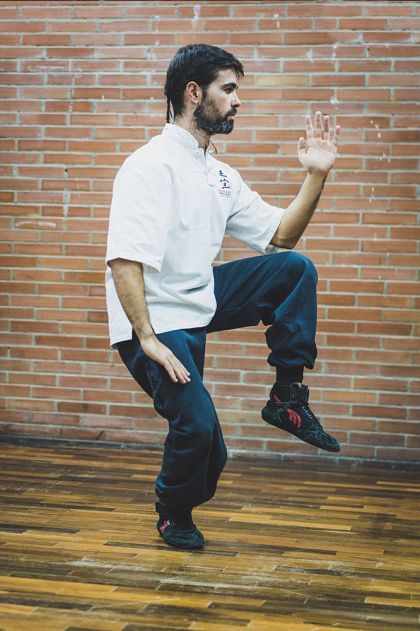 Tai Chi Chuan